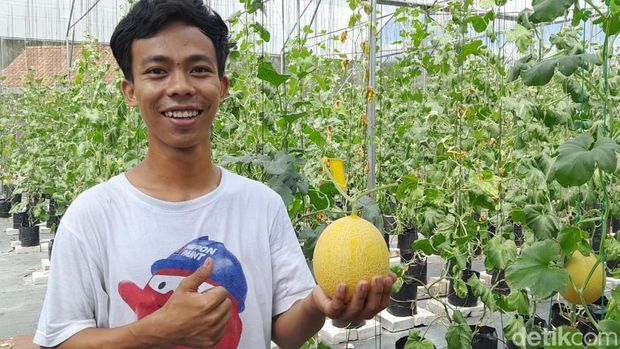 Santri Pangandaran menanam melon sultan