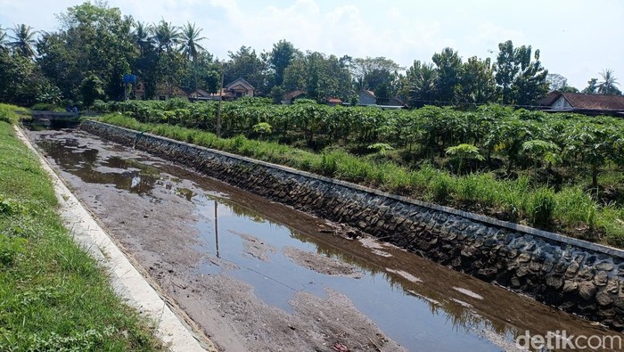 Kondisi Selokan Van Der Wijck yang berada di Kalurahan Sendangsari, Minggir, Sleman, Senin (16/9/2024).