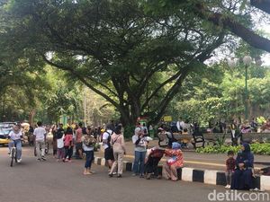 26 Ribu Pengunjung Padati Kebun Binatang Ragunan Hari Ini