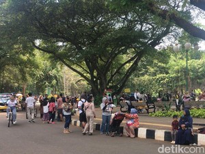 26 Ribu Pengunjung Padati Kebun Binatang Ragunan Hari Ini