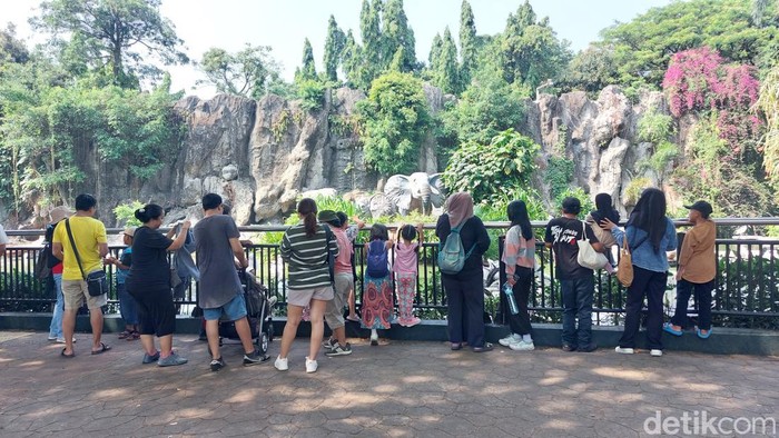 Taman Margasatwa Ragunan merupakan salah satu tempat wisata favorit warga Jakarta dan sekitarnya. Hari ini Ragunan ramai didatangi pengunjung. (Rumondang N/detikcom)
