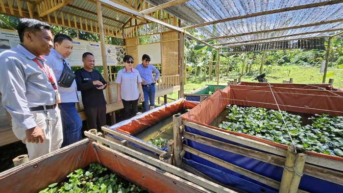 284 UMKM sektor kuliner, hortikultura, bengkel roda dua, perikanan, hingga perkebunan di wilayah Paser, Kalimantan Timur, diberikan pembinaan kemandirian.