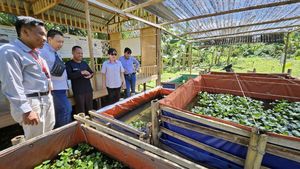 284 UMKM di Paser Kaltim Diberikan Pembinaan