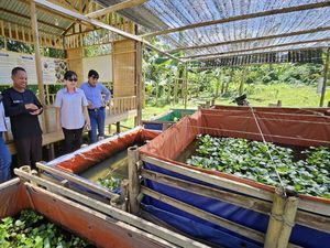 284 UMKM di Paser Kaltim Diberikan Pembinaan