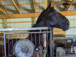 Buset! Hewan Ini Segede Gaban, Sulit Dipercaya Tapi Nyata