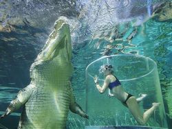 Buset! Hewan Ini Segede Gaban, Sulit Dipercaya Tapi Nyata