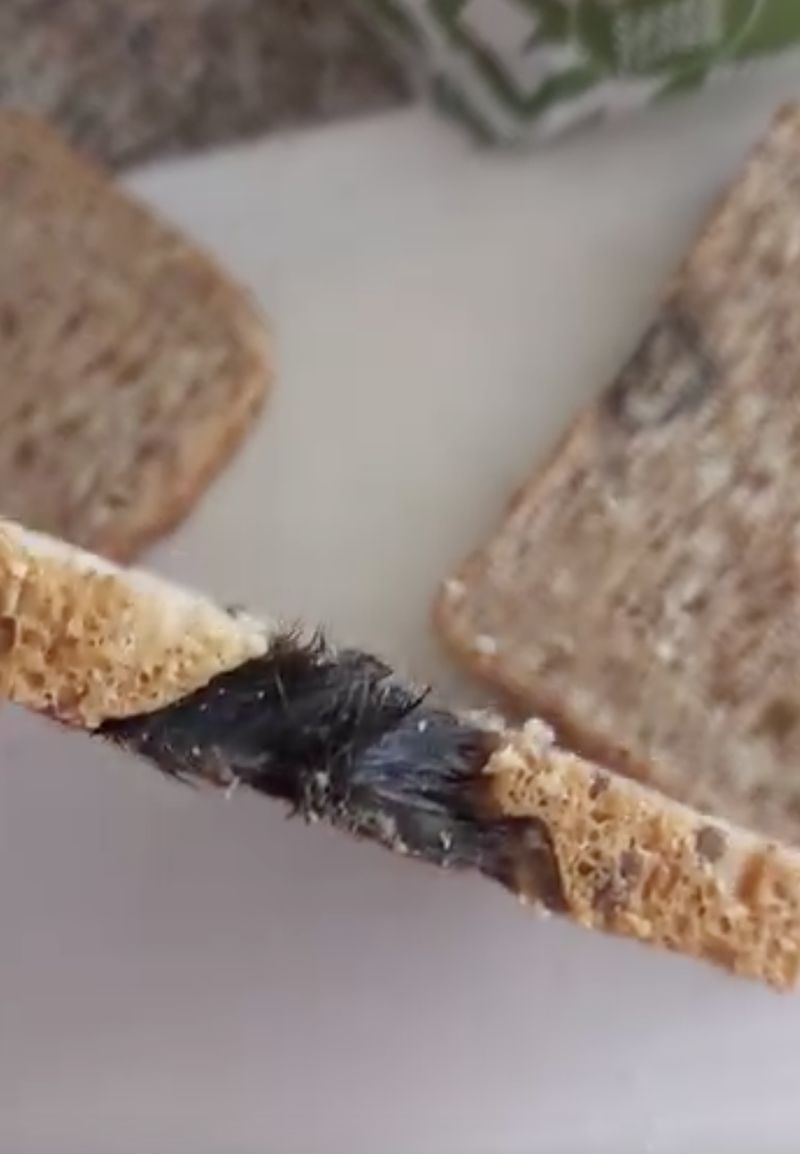 ¡Abominación! Se encontraron trozos de rata en láminas de pan blanco empaquetadas.