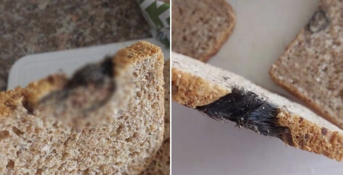 Jijik! Potongan Tikus Ditemukan di Lembaran Roti Tawar Kemasan