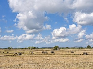Hari Meteorologi Sedunia 23 Maret 2025: Tema dan Cara Merayakan