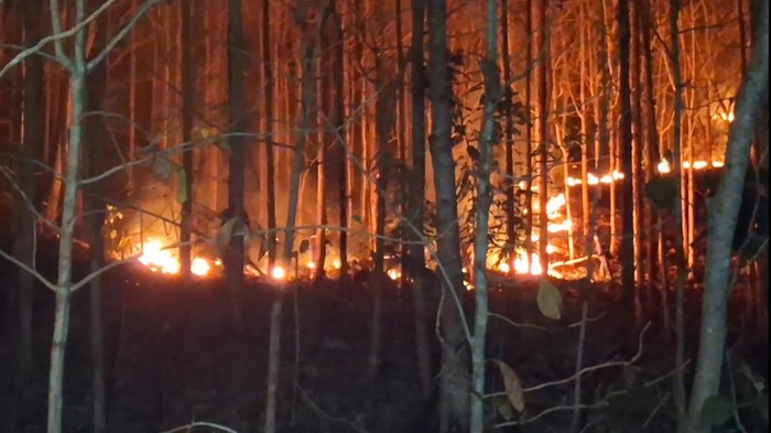 Kebakaran hutan dan lahan di Tulungagung