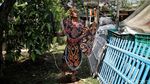 Keren, Baju Adat Ini Terbuat dari Sampah Plastik