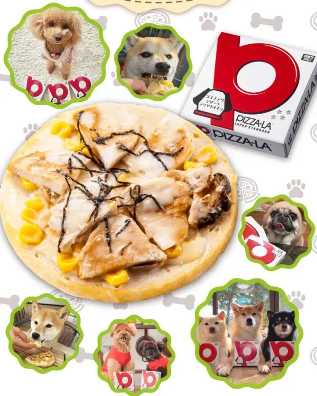 Kini di Jepang, Ada Pesan Antar Pizza Khusus untuk Anjing