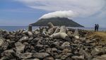 Kondisi Terkini Proyek Pembangunan Pelabuhan Sulamadaha-Hiri di Ternate