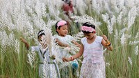 Ladang rumput Kans di Sarighat menjadi destinasi favorit bagi warga Dhaka untuk menikmati sore yang tenang dan indah di tengah hiruk-pikuk kota.