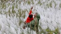 Sarighat menjadi lokasi populer di Dhaka bagi warga yang mencari ketenangan dan keindahan alam, dengan ladang rumput Kans sebagai daya tarik utamanya.  