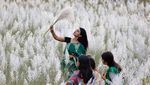 Menikmati Keindahan Ladang Rumput Kans di Bangladesh