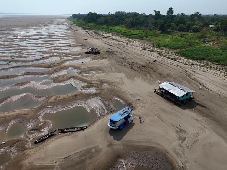 Penampakan Kekeringan Parah Landa Wilayah Amazon Brasil