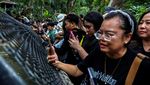Potret Gemas Moo Deng, Bayi Kuda Nil Viral di Thailand