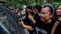 Pihak kebun binatang merekomendasikan kunjungan pada hari kerja untuk menghindari kepadatan pengunjung.  