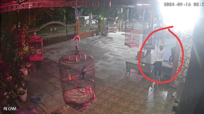 Tangkapan layar CCTV saat pelaku pencurian burung melancarkan aksinya di Tayuban, Panjatan, Kulon Progo, Senin (16/9).
