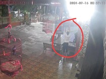 Aksi Maling Gondol 4 Burung Senilai Belasan Juta di Kulon Progo Terekam CCTV