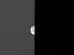 Karya Jawara Kontes Foto Minimalis, Ada Indonesia