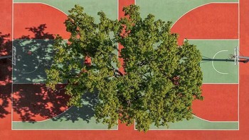 Karya Kateryna Polishchuk menjadi Juara Kedua kategori Aerial Foto: The Minimalist Photography Awards