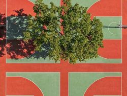 Karya Jawara Kontes Foto Minimalis, Ada Indonesia