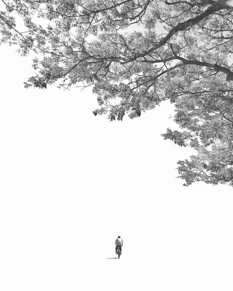 The Minimalist Photography Awards 2024