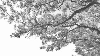 Karya June Yunjung John menjadi Juara Kedua kategori Photo Manipulation Foto: The Minimalist Photography Awards