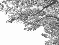 Karya Jawara Kontes Foto Minimalis, Ada Indonesia