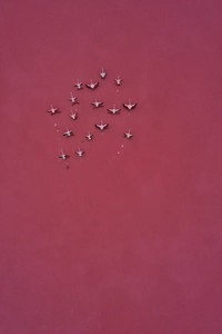 The Minimalist Photography Awards 2024