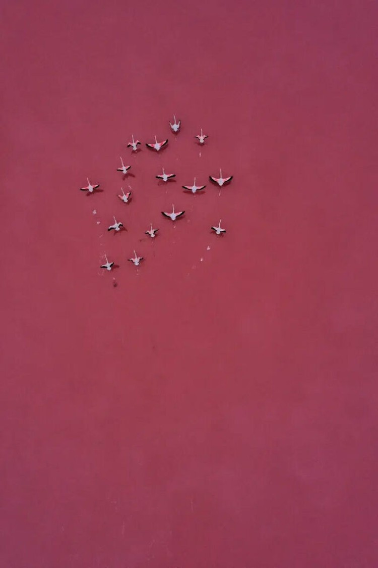 The Minimalist Photography Awards 2024 The Minimalist Photography Awards 2024