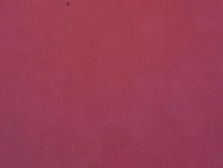 Karya Jawara Kontes Foto Minimalis, Ada Indonesia