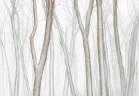 The Minimalist Photography Awards 2024