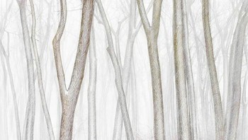 Karya Andrew Mielzynski menjadi Juara Kedua kategori Landscape. Foto: The Minimalist Photography Awards