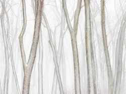 Karya Jawara Kontes Foto Minimalis, Ada Indonesia