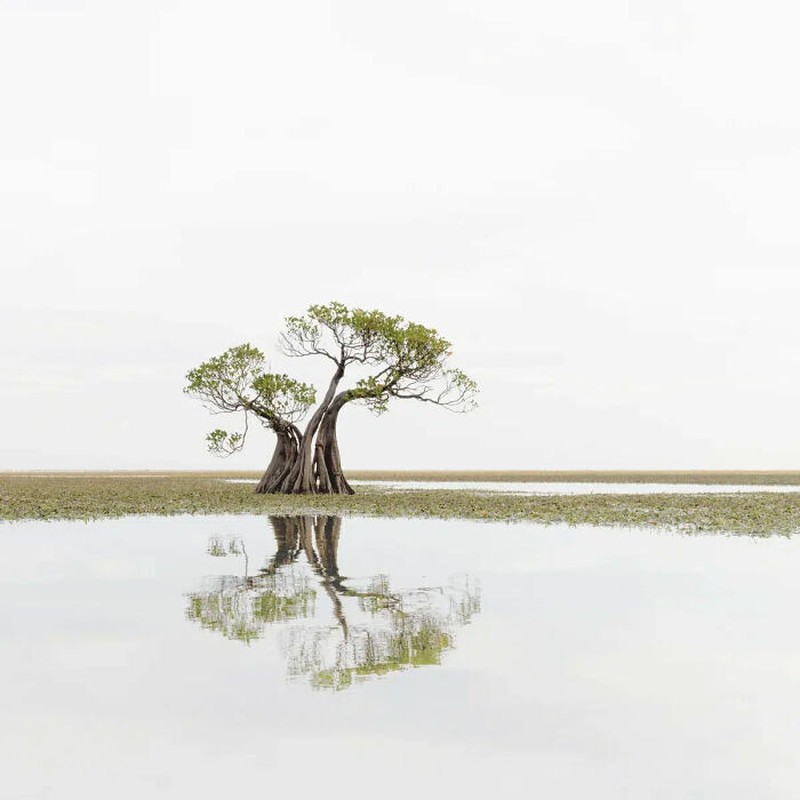 The Minimalist Photography Awards 2024