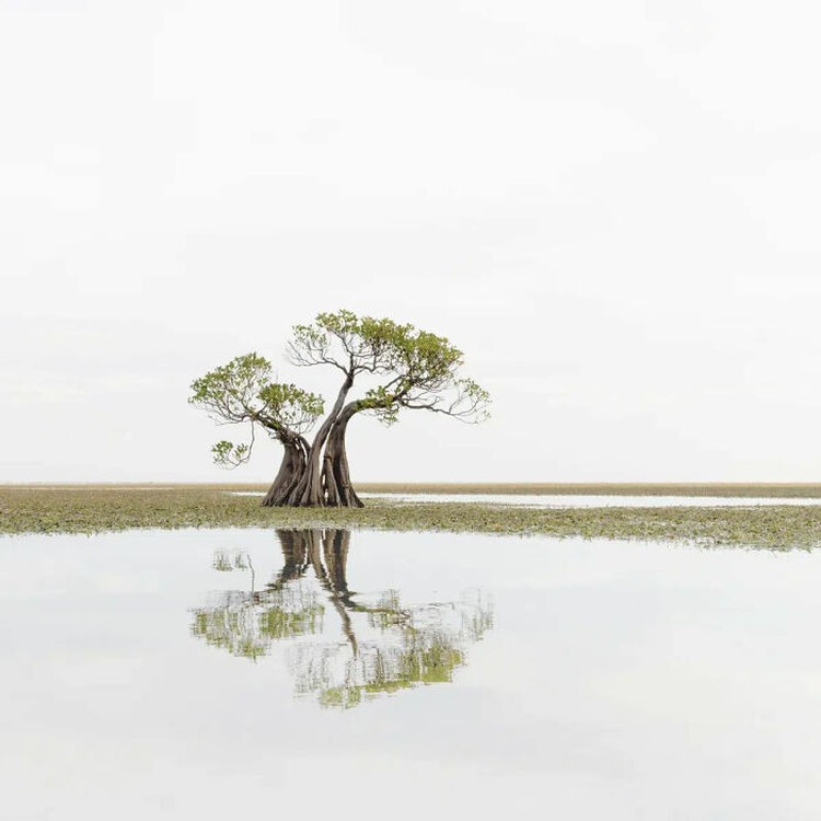 The Minimalist Photography Awards 2024 The Minimalist Photography Awards 2024