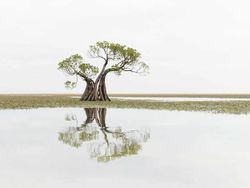 Karya Jawara Kontes Foto Minimalis, Ada Indonesia