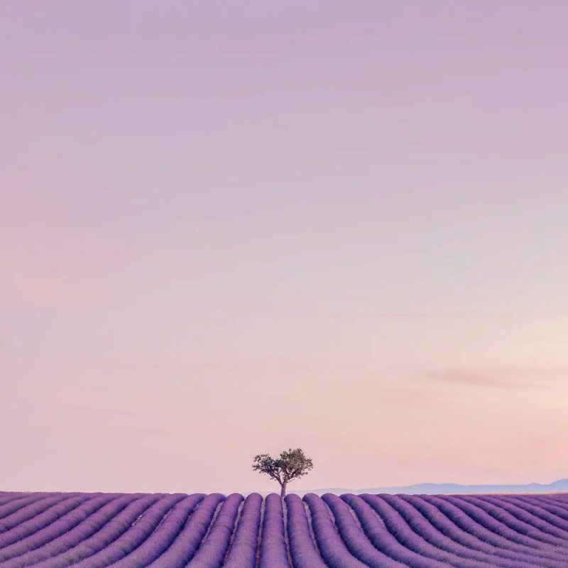 The Minimalist Photography Awards 2024