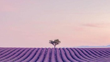 Karya Helen Trust menjadi Honorable Mentions kategori Landscape. Foto: The Minimalist Photography Awards