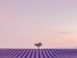 Karya Jawara Kontes Foto Minimalis, Ada Indonesia