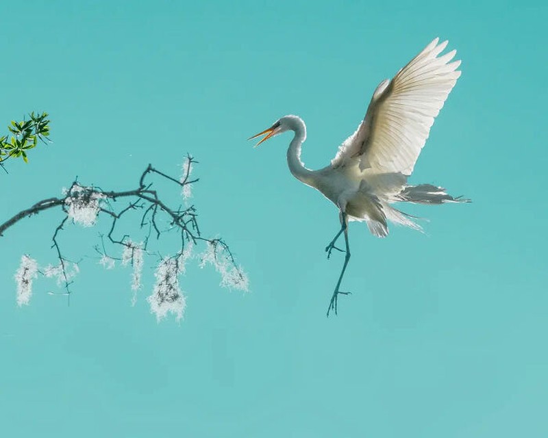 The Minimalist Photography Awards 2024