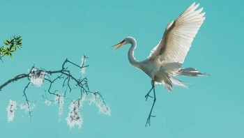 Karya Fenqiang “Frank” Liu menjadi Honorable Mentions kategori Open. Foto: The Minimalist Photography Awards