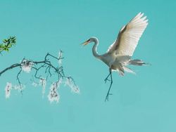 Karya Jawara Kontes Foto Minimalis, Ada Indonesia