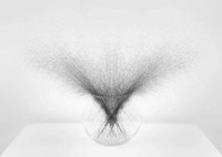 The Minimalist Photography Awards 2024