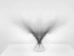 Karya Jawara Kontes Foto Minimalis, Ada Indonesia