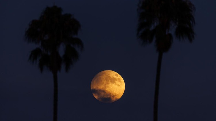 8 Potret Keindahan Bulan Purnama di Berbagai Negara Di sisi lain, pada malam 17 September 2024, di California, bulan purnama terlihat jelas di antara deretan pohon palem ikonis di San Diego. REUTERS/Mike Blake