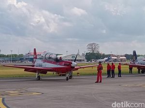 Luhut Sebut Rumput Laut-Ampas Beras Bisa Jadi Bahan Bakar Pesawat